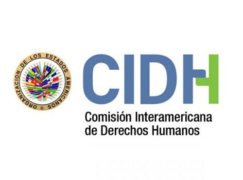 logo CIDH 600x369 1